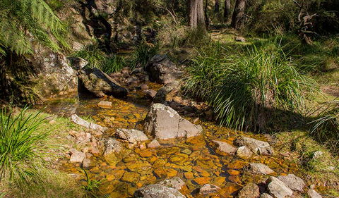 Wombeyan Waterfall Walking Track - Darwin Holiday 1