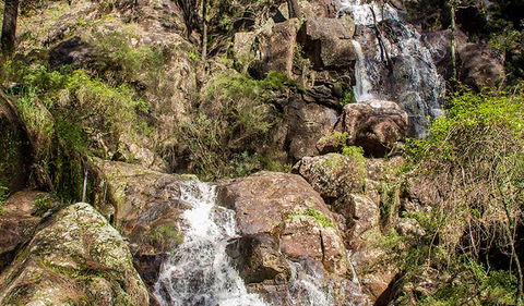 Wombeyan Waterfall Walking Track - Darwin Holiday 3