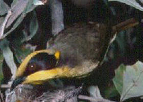 Tyers Park - Darwin Holiday 0