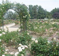 Victoria Park Rose Garden - Darwin Holiday