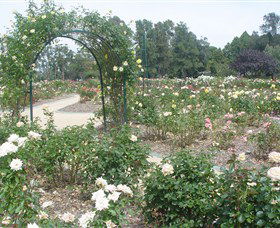 Victoria Park Rose Garden - Darwin Holiday 0