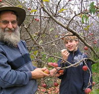 Pine Crest Orchard - Darwin Holiday