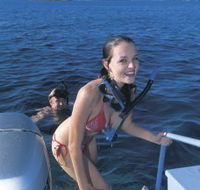 Seal Cove - Darwin Holiday
