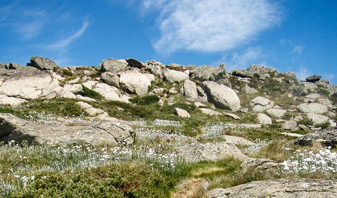 Mount Stillwell Walk - Darwin Holiday 1