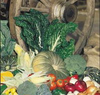 Mulgowie Real Farmers Markets - Darwin Holiday