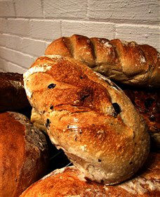 Bakehouse On Wentworth Springwood - Darwin Holiday 3