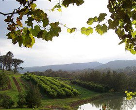 Enniskillen Orchard - Darwin Holiday 1