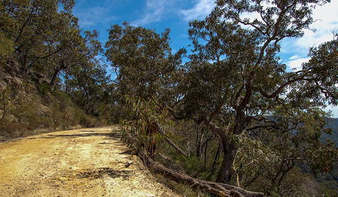 Parr State Conservation Area - Darwin Holiday 0