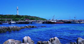 King Island Dairies - Darwin Holiday 0