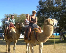 Calamunnda Camel Farm  - Darwin Holiday 0