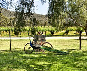 Stomp! Wines - Darwin Holiday 3