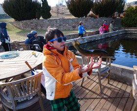 Eucumbene Trout Farm - Darwin Holiday 2