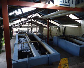 Eucumbene Trout Farm - Darwin Holiday 5