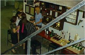 John Kosovich Wines - Darwin Holiday 1