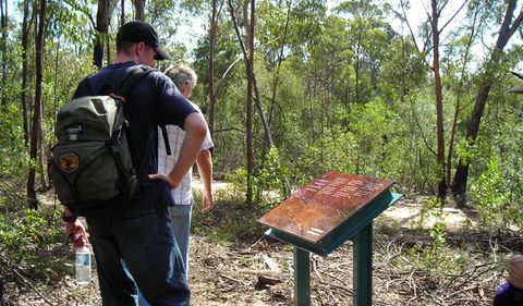 Finchley Cultural Walk - Darwin Holiday 0
