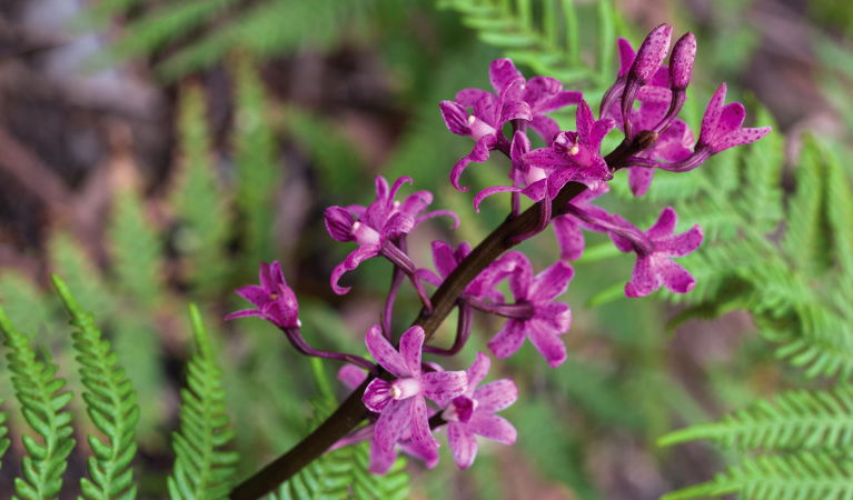 Hillgrove NSW Darwin Holiday