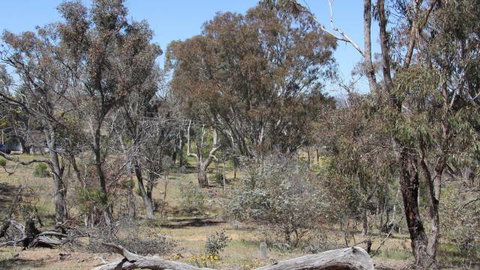 Remembrance Nature Park - Darwin Holiday 2