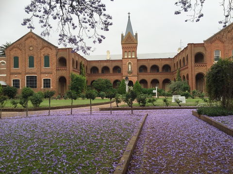 Sacred Spaces At The Sisters Of Mercy Convent - Darwin Holiday 12