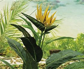 Lapstone NSW Darwin Holiday