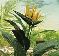 Aitkens Australia in the Round - Darwin Holiday