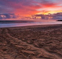 Mon Repos Beach - Darwin Holiday