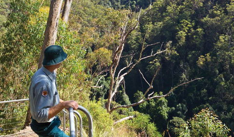 Lyrebird Falls Walking Track - Darwin Holiday 1