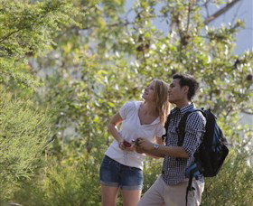 The Rock Lookout - Darwin Holiday 6