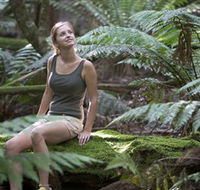 Barrington Tops National Park - Honeysuckle Forest Track - Darwin Holiday