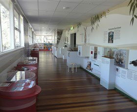 Kanyana Wildlife Rehabilitation Centre - Darwin Holiday 1