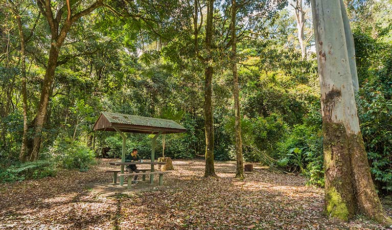 Upper Tooloom ACT Darwin Holiday