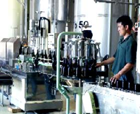 Sun Masamune Sake Brewery - Darwin Holiday 2