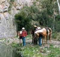 Yarramba Horse Riding - Darwin Holiday