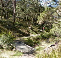 Wollomombi walking track - Darwin Holiday