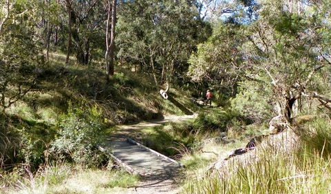 Wollomombi Walking Track - Darwin Holiday 0