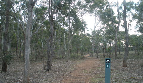 Green Track - Darwin Holiday 0