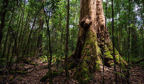 Rocky Crossing Walk - Darwin Holiday 1