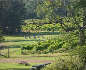Wollombi Wines - Darwin Holiday 8