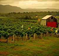 Around Hermitage Wine and Food Trail Hunter Valley - Darwin Holiday