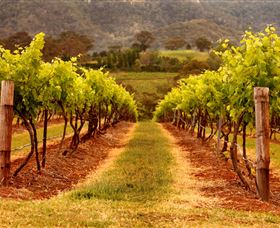 Hunter Valley Wine School - Darwin Holiday 1