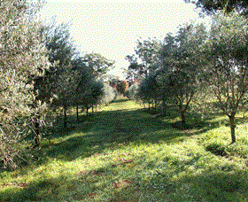 Langdale Farm - Darwin Holiday