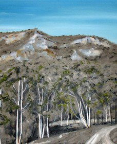 Greg Wilson Gallery - Darwin Holiday 2
