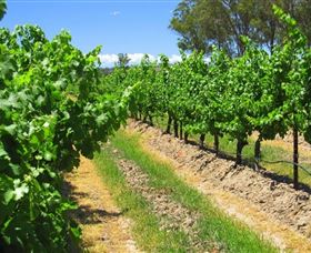 Misty Glen Wines And Cottage - Darwin Holiday 1