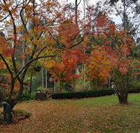 Bellbird Cottage - Darwin Holiday