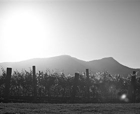 Scarborough Wine Co. - Darwin Holiday 1