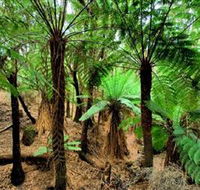 Pegarah Private Nature Reserve  Parenna Place - Darwin Holiday