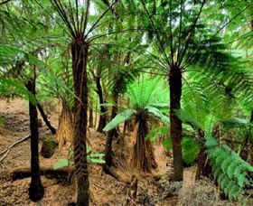 Pegarah Private Nature Reserve & Parenna Place - Darwin Holiday 0