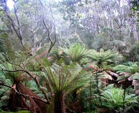 Pegarah Private Nature Reserve & Parenna Place - Darwin Holiday 1