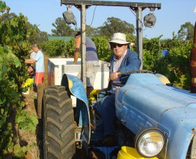 Pokolbin Brothers Wines Hunter Valley - Darwin Holiday 1