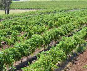 Pokolbin Brothers Wines Hunter Valley - Darwin Holiday 0