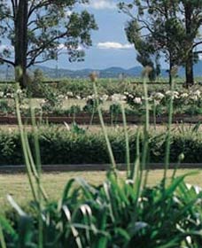 Vinden Estate Wines - Darwin Holiday 1